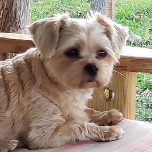 Meet your Posher, Kyle